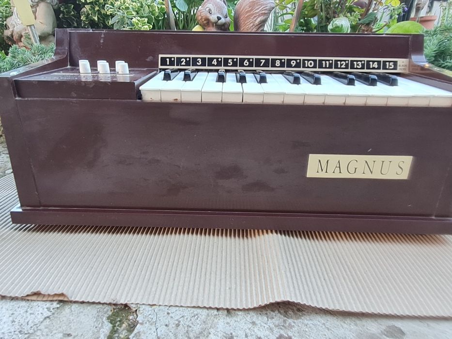 Електрически акорд орган Magnus 300