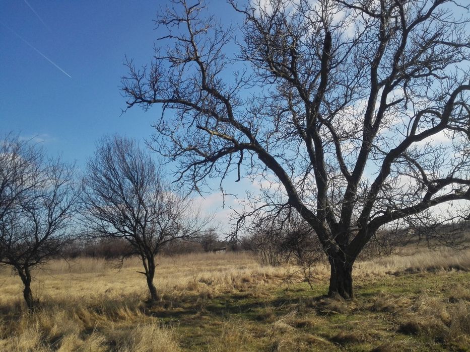 Парцел в регулация