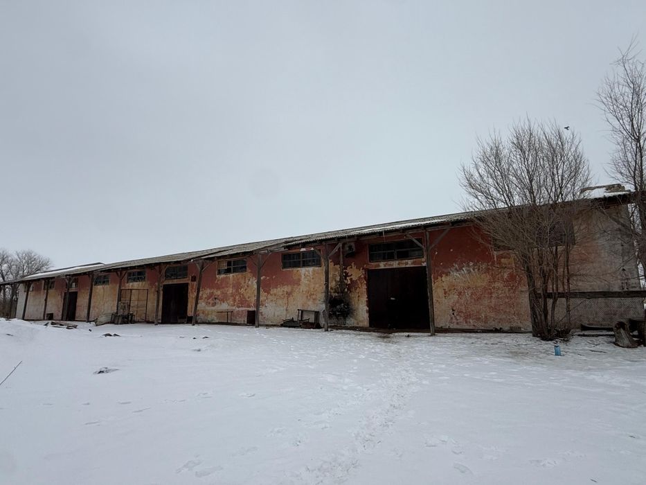 Продам крестьянское хозяйство