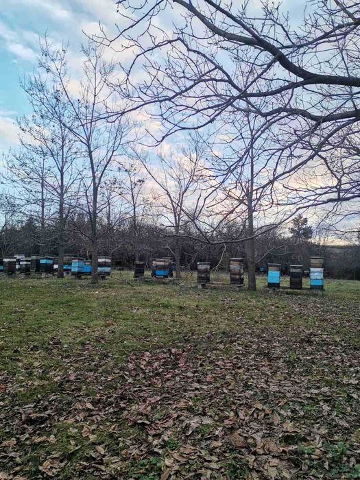 Тухлена къща !!! и  селскостопански постройки  село Горна Кабда