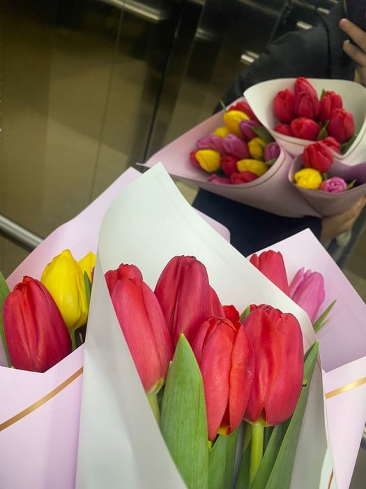 Белорусские тюльпаны 650тг