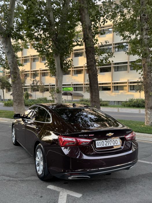 Malibu premier limited 2021