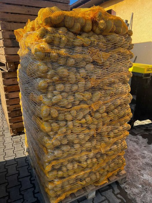 Vindem cartofi albi si roșii EN-GROS