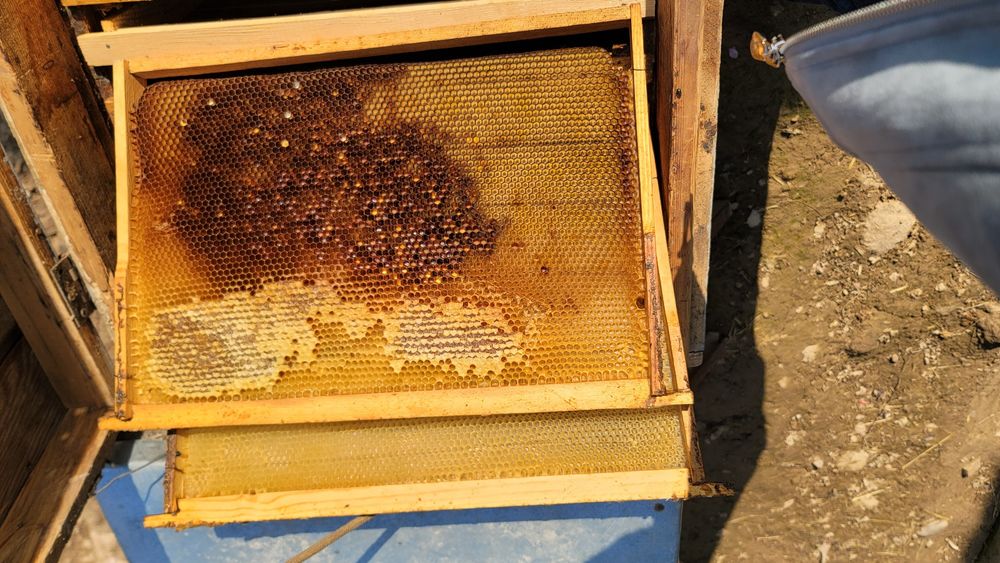 Асалари яшиклари ва ромлари