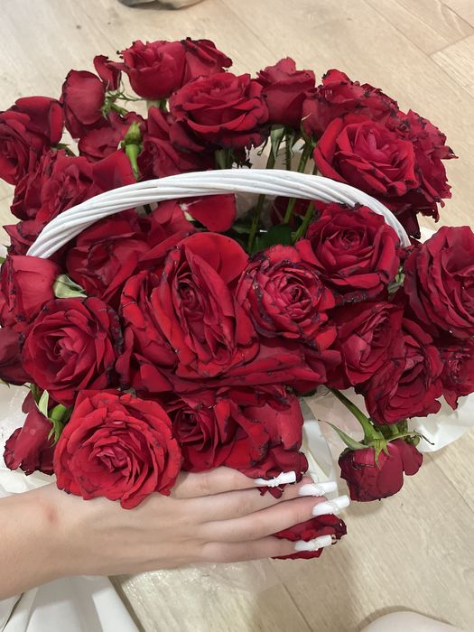 Красеый Роза корзинка не свежий