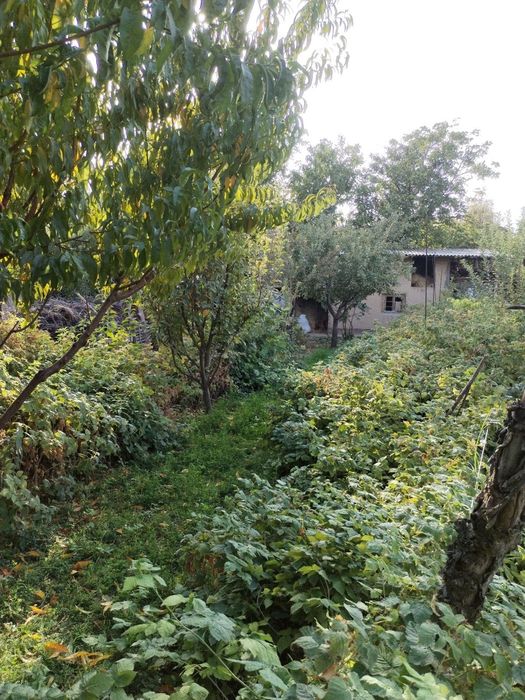 Yer sotilad(quruq yer) 4 sotix