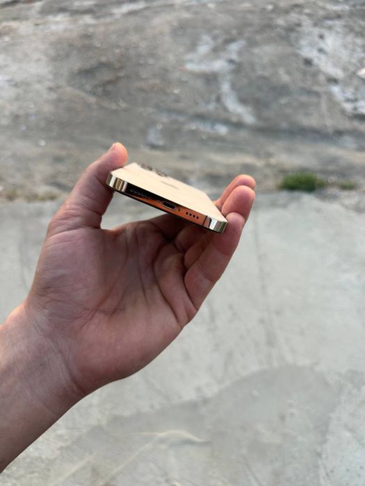 Iphone 12 pro max         .