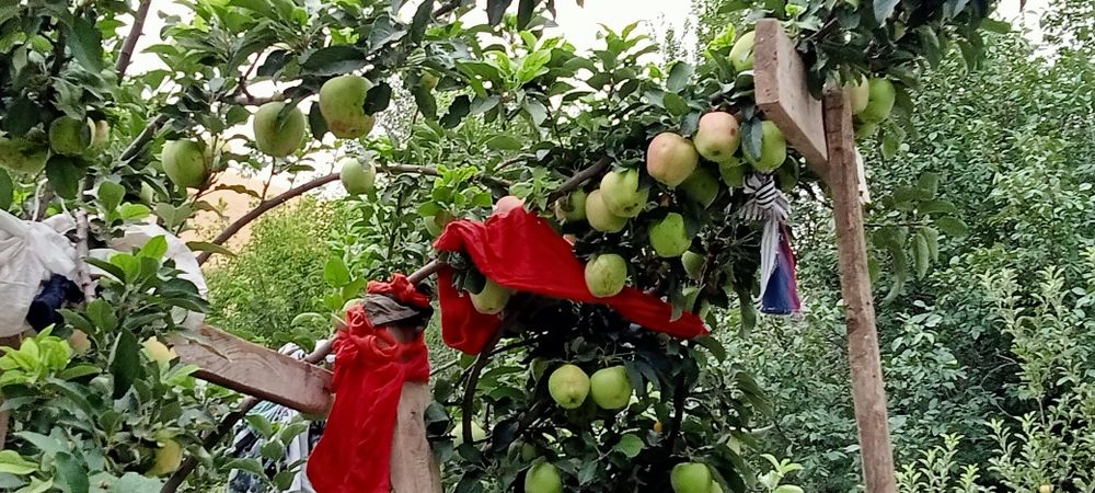 Үй мен бизнес сатылады