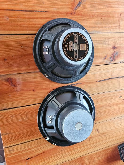 2 difuzoare Visaton WSP 26 S 25 cm (10")