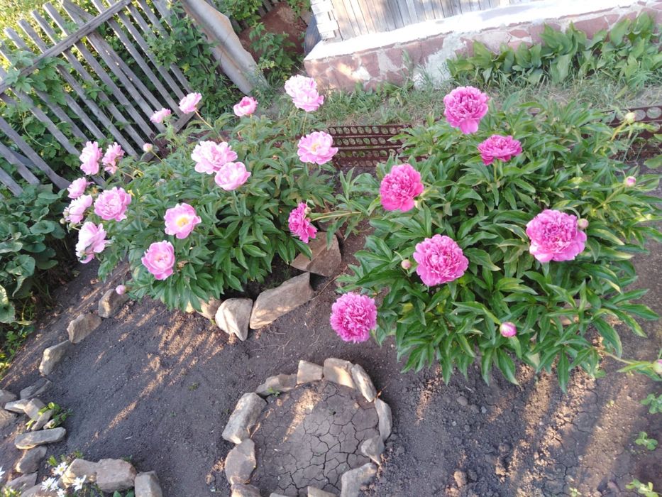 Дача 7 соток Щучинск