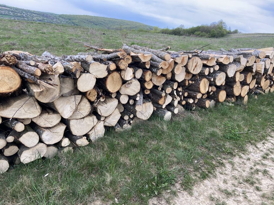 Lemne de foc carpen stejar