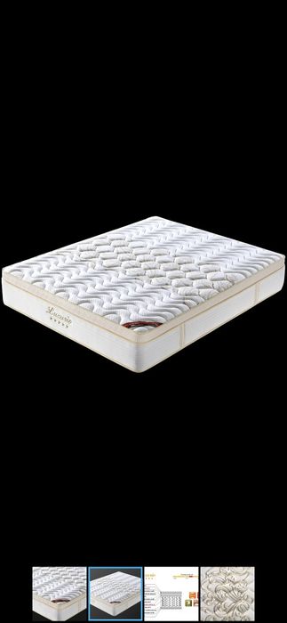 Saltea luxurio( Lem's )