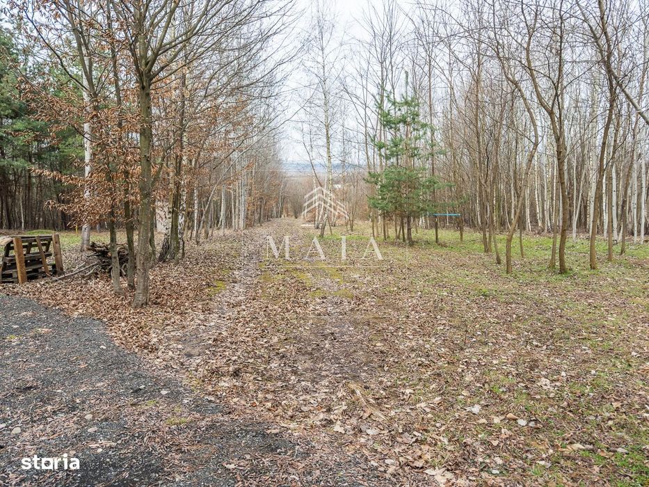 Teren extravilan 2200 mp, zona Calea Poplăcii, la 5 min de Valea Aurie