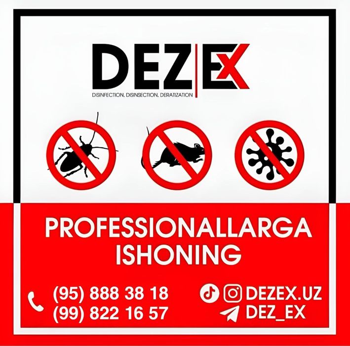 Dezinfeksiya дезинфекция 24/7 dizinfeksiya клапа таракан klapa tarakan