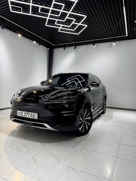 Byd champion 520 km 2024 kraska toza