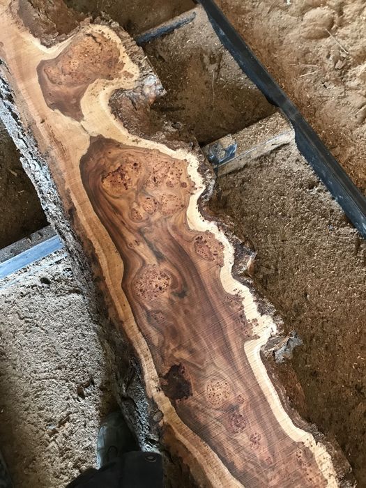 Доски изкарагача