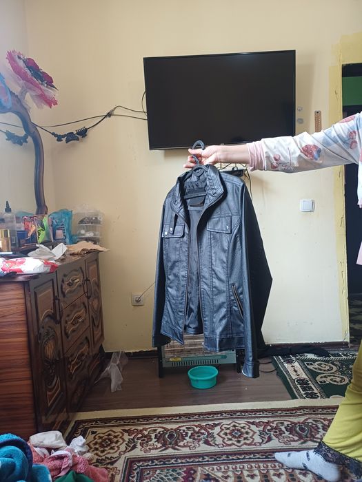 Jeniskiy koja holati yangi birmartta kiyilgan