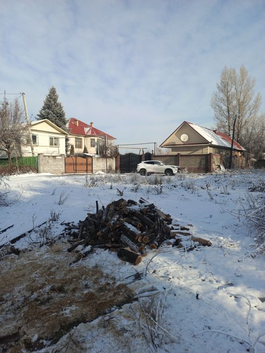 Продам дрова , есть разные виды