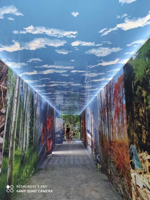 Natyajnoy potolok | Натяжные потолки | Натяжной потолок | usta |NT-12