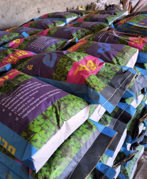 Beda urug’ беда уруг ОПТОМ. Oʻzbekiston va Turkiya