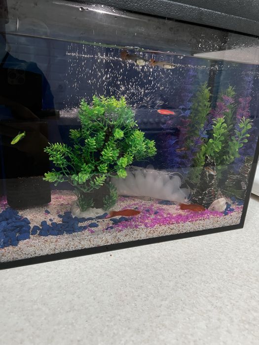 Продам аквариум 40 литров с рыбками