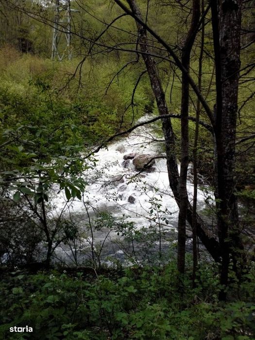 Proprietate rară în inima Retezatului – 5.700 mp teren intravilan