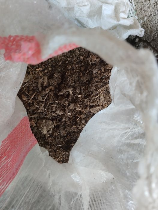 Mol gungi bor kimga kerak busa 10000 dan qopi