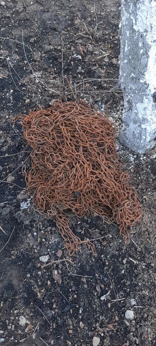 Цеп для хозяство