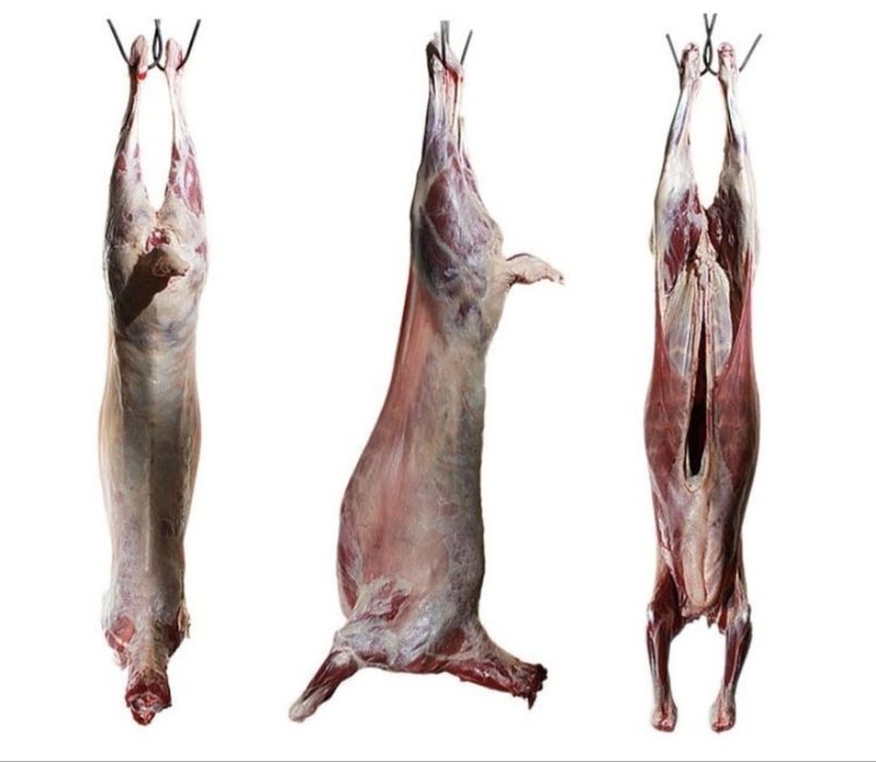 Касап кой сою жиликтеу