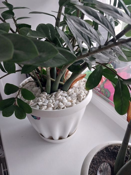 Мраморная крошка щебень галька!