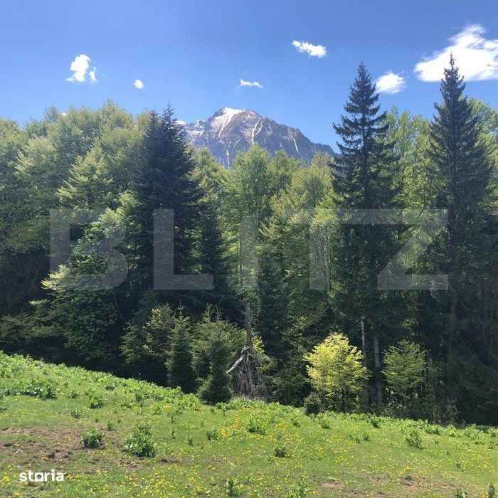 De vanzare, teren intravilan 5.500mp, Predeal