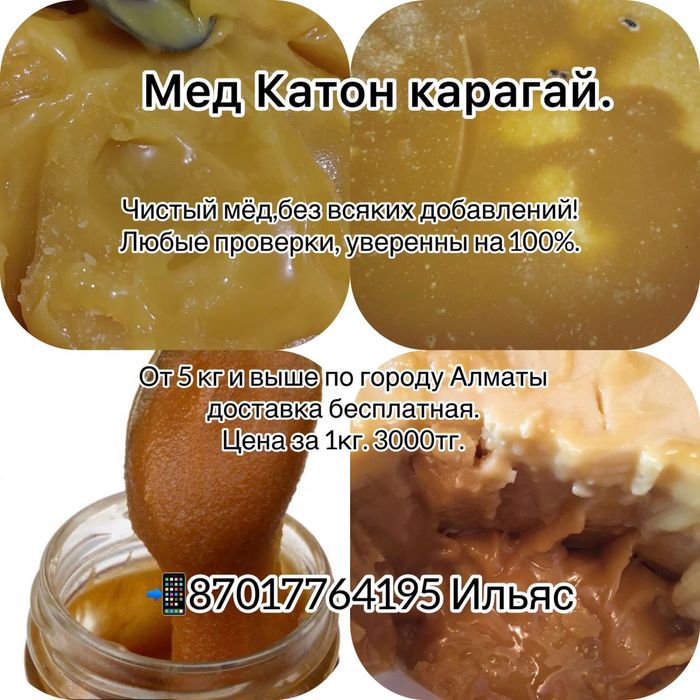 Мед Катон-карагай