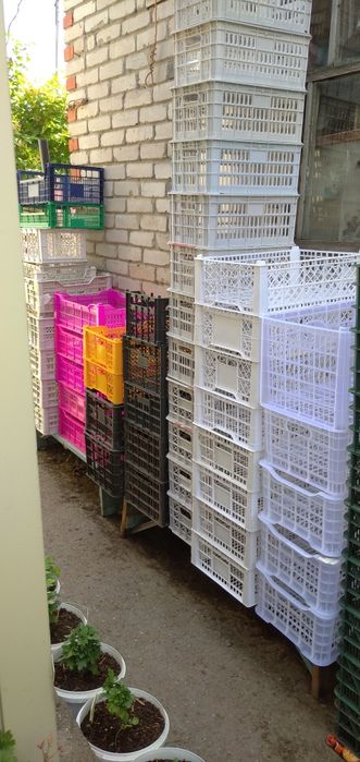 Ящики пластмассовые