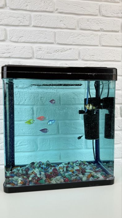 Аквариум с рыбками