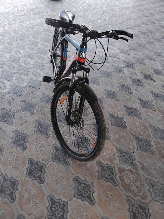 Velosapet nomi mustang.