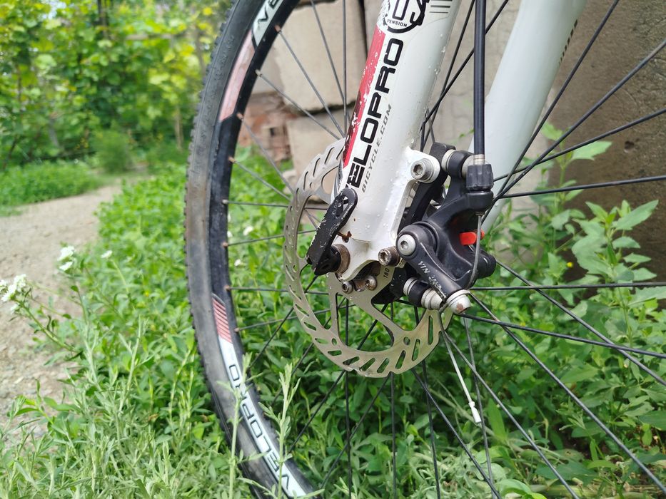 Велик подростоковый