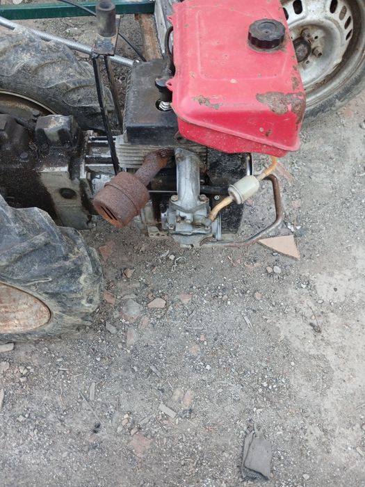 Motocultor bertolini