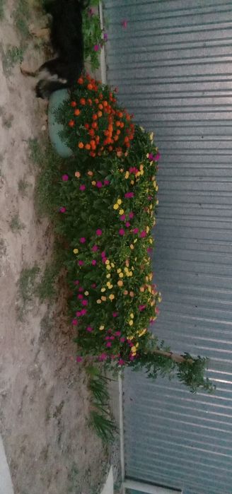 Продам дом Коккайнар, Илийский район