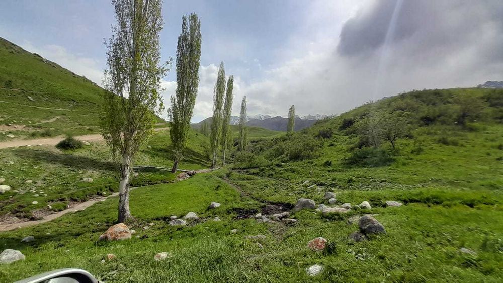 Срочно продается фазенда