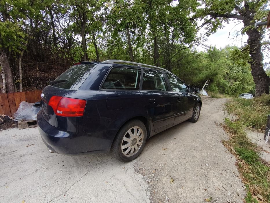 Audi A4 B7 2.5 TDI на части