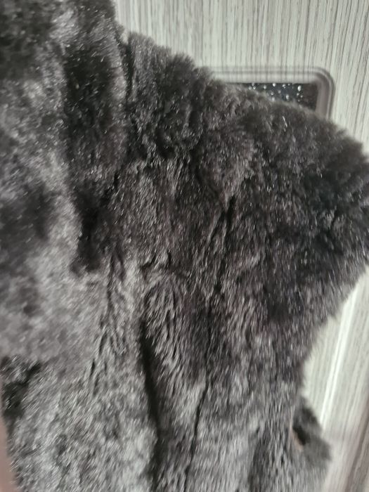 Vesta blana  Brian Dales m-l