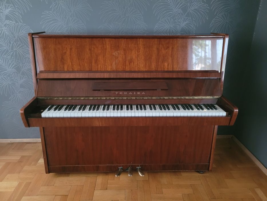 Пияно Чайка / Tchaika