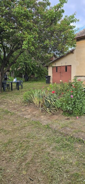 Casa comuna Izvoare, jud Dolj sau pachet casa plus 15 ha teren arabil