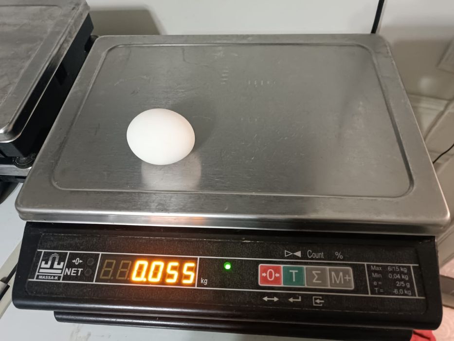 Электронные весы