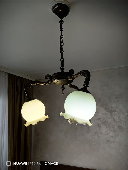 Полилей Перфектен