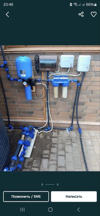 Ель    липа    газон саженцы