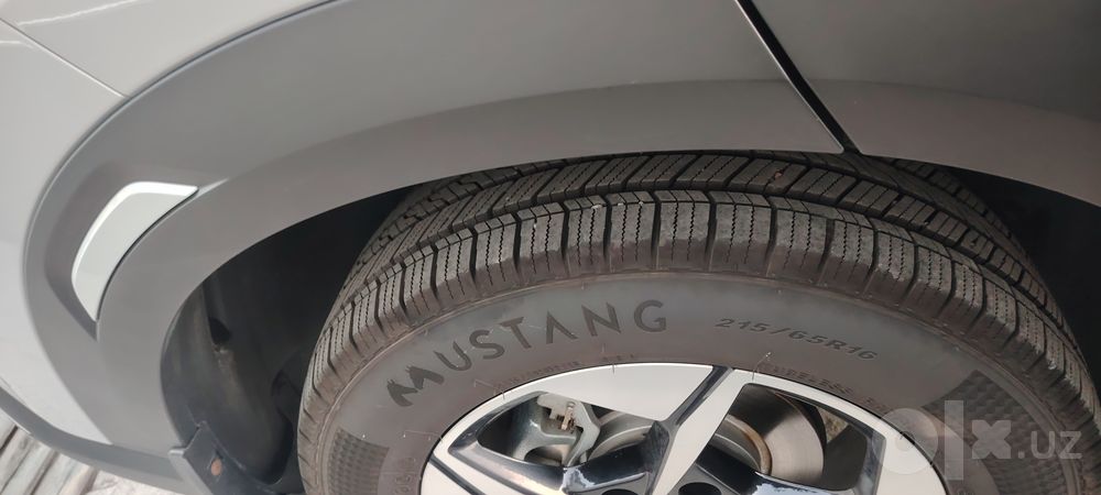 Byd yuan up 2024 nayabrda afitsiyalni dilerdan olingan kraskasi toza