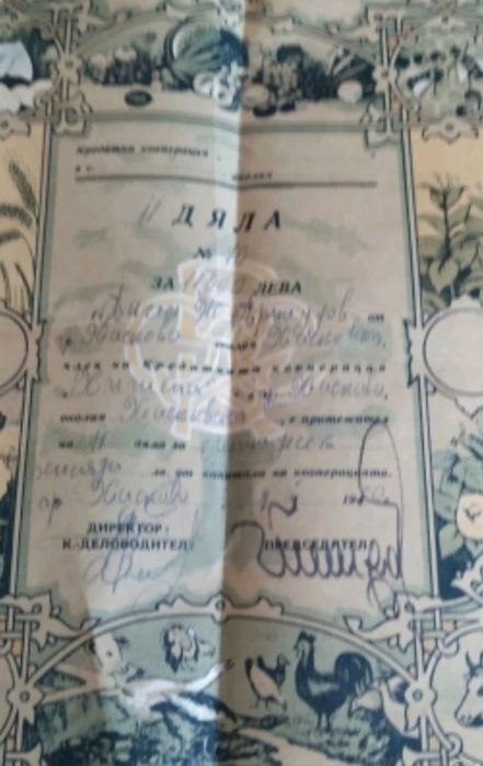 Дялове от кооперации