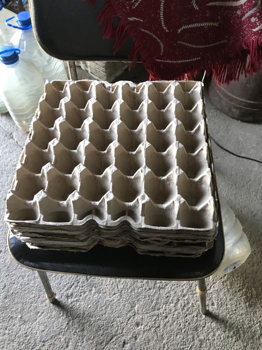 Продам лотки