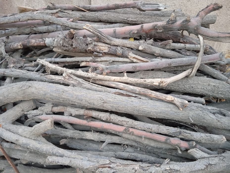 Утин сотилади Эгасини номер на телефон килинг